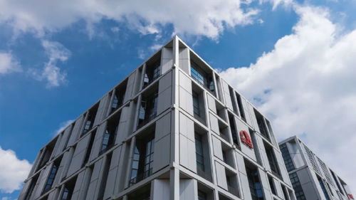東方雨虹再度躋身2024全球建筑材料上市公司綜合實力排行榜，技術服務成核心競爭力